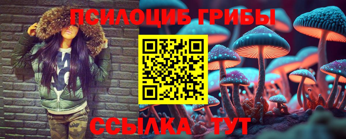 Псилоцибиновые грибы мухоморы Каспийск