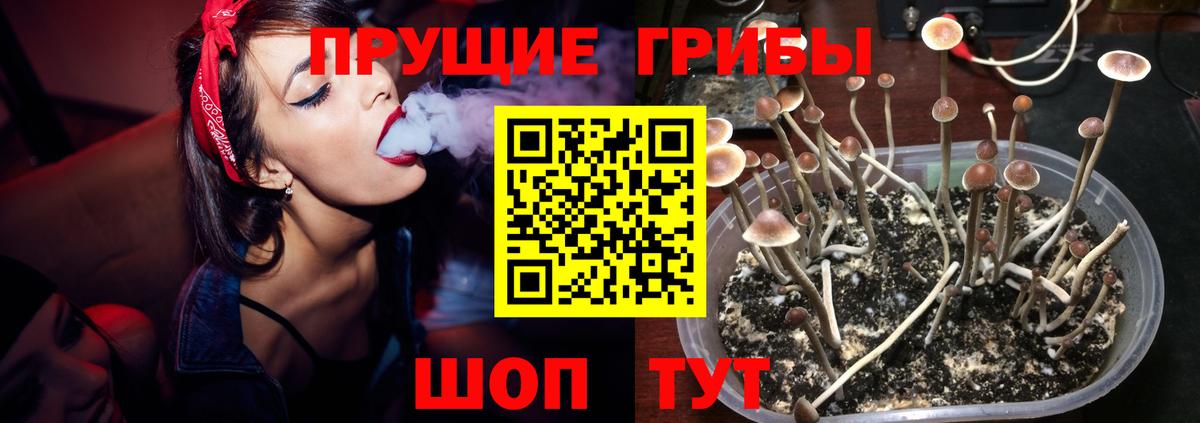 Галлюциногенные грибы Psilocybine cubensis  Псилоцибиновые грибы Cubensis  Каспийск  Вход с VPN 